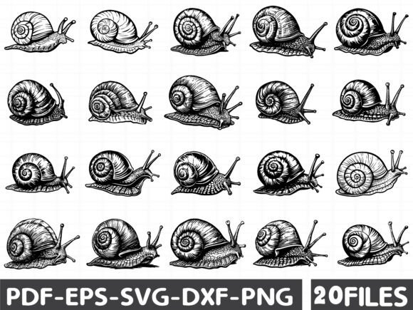 Seashell Monochrome Clip Art SVG: A Practical Review for Graphics and Illustrations